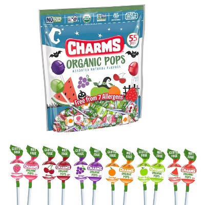 Charms Organic Halloween Chewy Gummy Pops Candy - 9.89oz/55ct