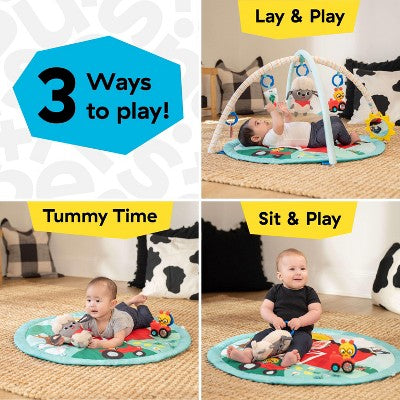 Baby Einstein Happy Harvest Touch & Feel Activity Gym (LOCAL PICKUP ONLY)