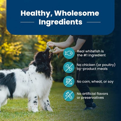 Blue Buffalo Life Protection Formula Natural Adult Dry Dog Food with Fish and Brown Rice - 15lbs (LOCAL PICKUP ONLY)