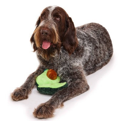 BARK Beg-n-Bag Large Box Dog Plush Toy Set - 5pc