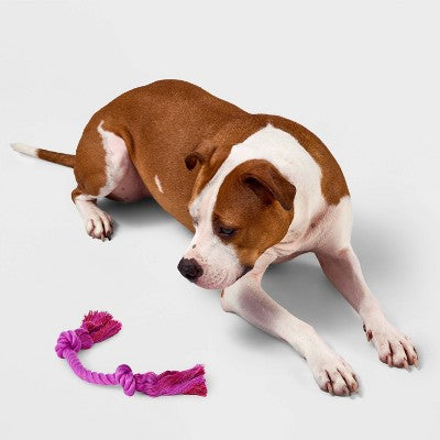 10" Mini Rope Dog Toy - Boots & Barkley Purple