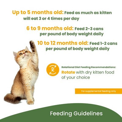 Almo Nature: HQS Natural Kitten: Chicken Recipe - 2.47oz Can