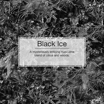 Little Trees 3.5 fl oz Ice Pump Spray Black Ice: Car Freshener Spray, Disposable Air Freshener, Scented Car Supplies