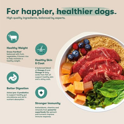 Jinx Beef Flavor Dry Dog Food - 4lbs