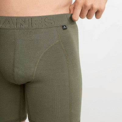 Hanes Premium Men's Explorer Boxer Briefs 2pk - Black/Green M