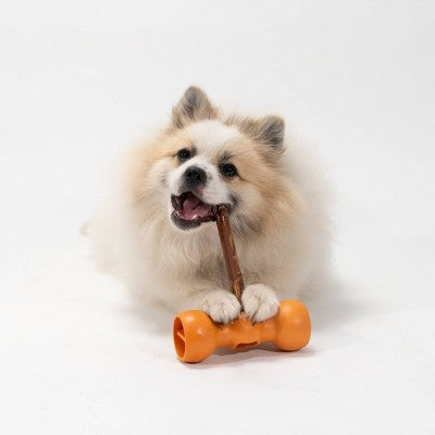Bow Wow Buddy Safety Device Holder for Dog Bully Sticks and Chews - M