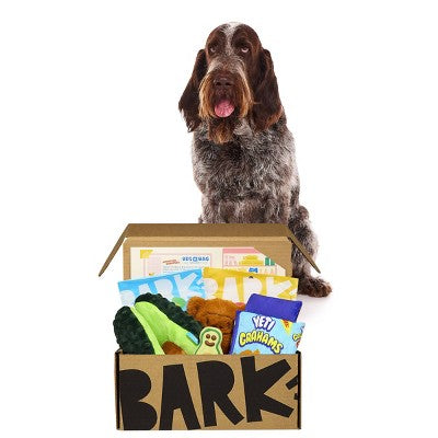 BARK Beg-n-Bag Large Box Dog Plush Toy Set - 5pc