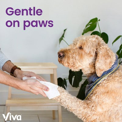 Viva Signature Cloth Choose-A-Sheet Paper Towels - 2 Triple Rolls