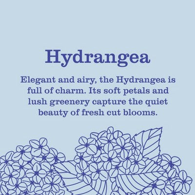 Mrs. Meyer's Clean Day Liquid Hand Soap - Hydrangea - 12.5 fl oz