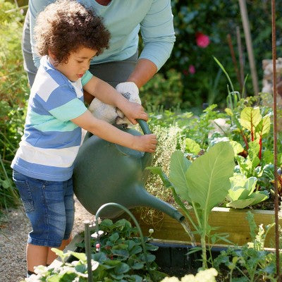 Back to the Roots 1.5lb Organic Plant Food All Purpose Premium Blend: Nutrient-Rich for Indoor & Outdoor Gardens, Non-Synthetic