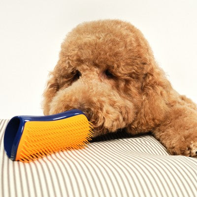 Pet Teezer Large Dog Grooming Brush - Navy Blue: Detangles, For Dogs