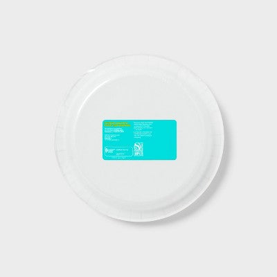 Disposable Plates - 24ct - Aqua Gingham - 10" - up&up