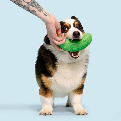 BARK Super Chewer Pickle Stickle Pickle Dog Toy