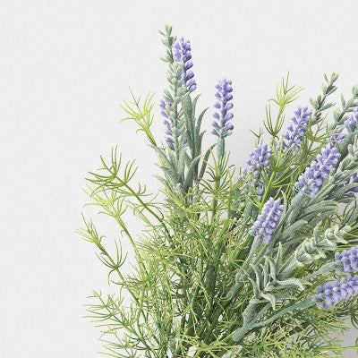 Lavender Bundle - Room Essentials