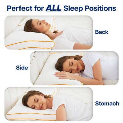 Arm & Hammer Soft Just Like Down Sleep Pillow