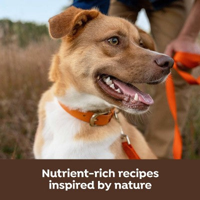 Nature's Recipe Freeze Dried Blend Chicken, Barley and Brown Rice Dog Food - 10.5lbs