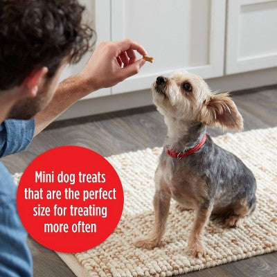 Milk-Bone Soft & Chewy Minis Dog Treat with Chicken Flavor - 18oz