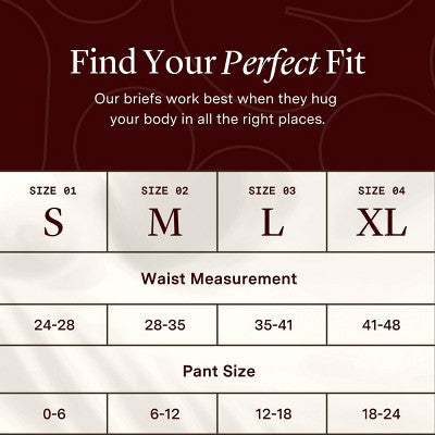 Hazel High & Dry Briefs Disposable Incontinence & Postpartum Underwear - S - 14ct