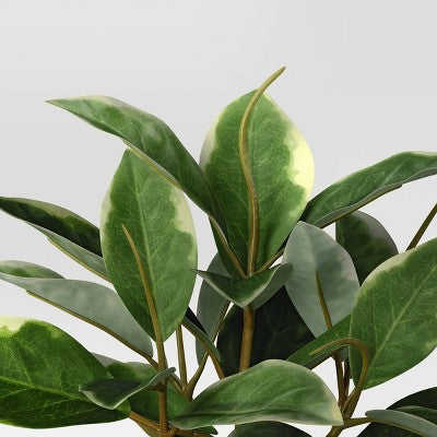 4.3" Set of 3 Mini Artificial Plants in White Pot - Room Essentials