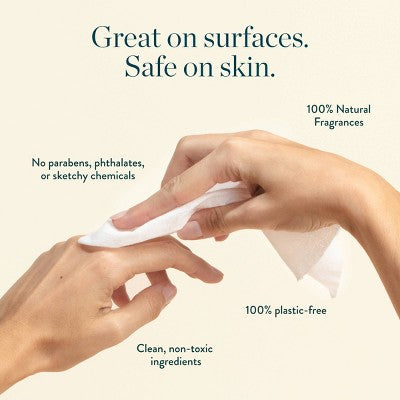 Biom Plant Based Refillable All Purpose Wipes - Fragrance Free - 60ct