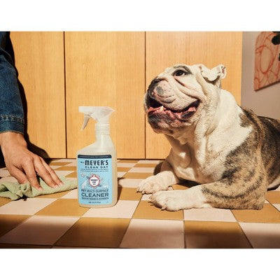 Mrs. Meyer's Clean Day Liquid Coconut Scent Pet All Purpose Cleaner - 16 fl oz