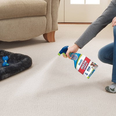 Woolite INSTAclean Pet Stain Liquid Remover - 22oz