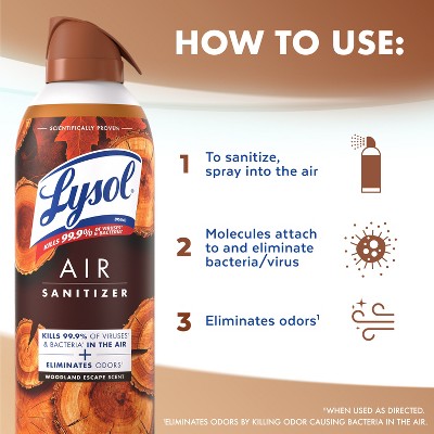 Lysol Aerosol Air Sanitizer - Woodland Escape - 10oz