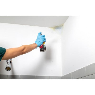 Zinsser Mold Blocking Primer Spray