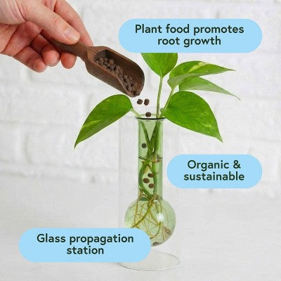 WE THE WILD Propagation Kit Organic Hydro Pellet Plant Food & Premium Glassware Vessel
