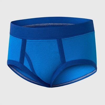 Hanes Toddler Boys' 10pk Briefs - Blue 4T