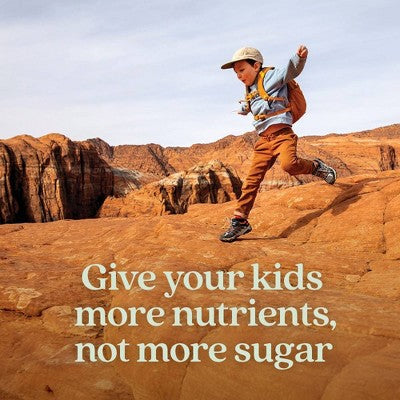 New Chapter Kids' Non-GMO and Gluten Free Organic Multivitamin Gummies - Berry Citrus - 60ct