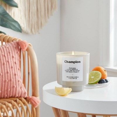 Grey Exterior Painted Glass w/ Glass Lid Citrus and Acai Berry "Champion" 7oz - Room Essentials