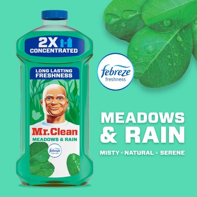 Mr. Clean Dilute Meadows & Rain Multi-Surface Cleaner - 23 fl oz