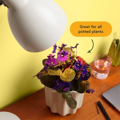 WE THE WILD Instant Sun Full Spectrum LED Grow Light Bulb for Houseplants 10W E26