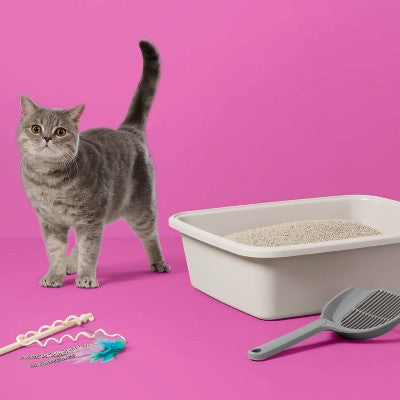 Lightweight Scented Clumping Cat Litter - 7.5lbs - up&up
