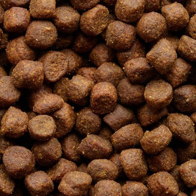 Stella & Chewy's Chicken and Turkey Flavor Wild Red Raw Coated Grain and Legume Free Dry Dog Food - 3.5lbs
