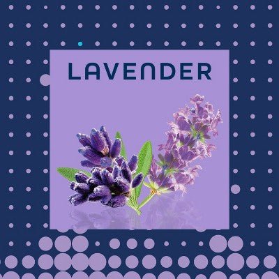 Glade Aerosol Air Fresheners - Lavender - 7.3oz