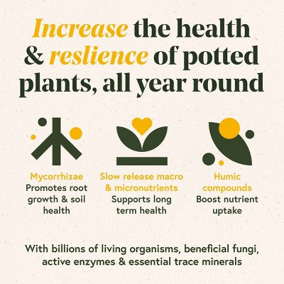WE THE WILD Enrich Powder Slow-Release Organic Soil Amendment & Plant Food for Houseplants 8.8 oz