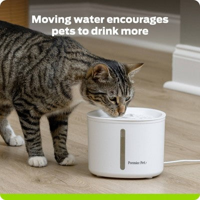 Premier Pet 54oz Dog and Cat Automated Fountain - White