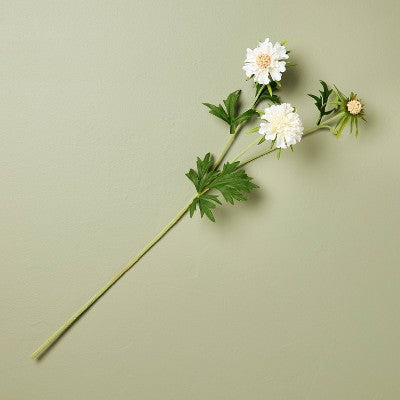 25" Scabiosa Artificial Stem White - Hearth & Hand with Magnolia
