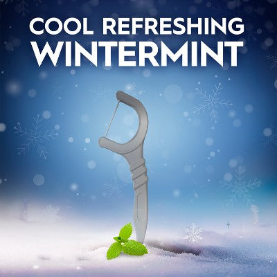 Oral-B Glide Winter Mint Floss Picks - 75ct