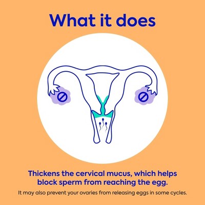 Opill 3 Month Pack Contraceptives - 84ct