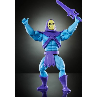 Masters of the Universe Skeletor Cartoon Collection Action Figure
