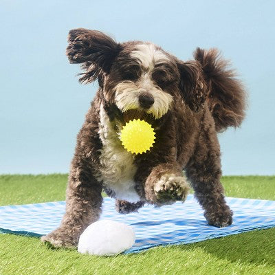2pc Bark Fetch It Dog Ball Toy Deviled Begg Size XS-M (0-50) lbs