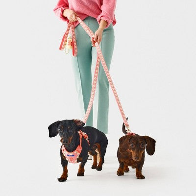 Hooray House Daisy Dog Harness - M