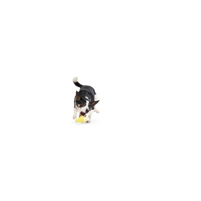 BARK Ba-gnaw-na Super Chewer Dog Food Shaped Toy