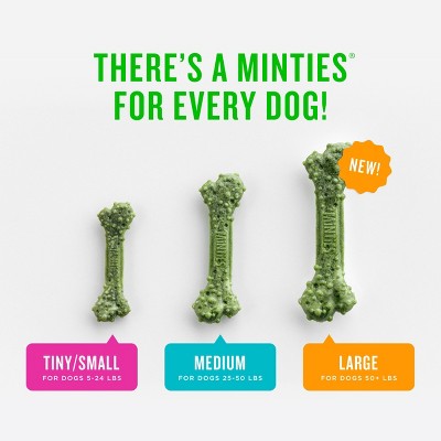 Minties Peppermint Flavor Dental and Hard Chews Dog Treat - Medium - 14oz/17ct