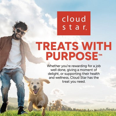 Buddy Biscuits Peanut Butter Soft and Chewy Dog Treats - 6oz