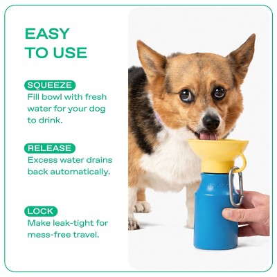 Springland 15 fl oz Mini Travel Dog Water Bottle - Blueberry/Yellow