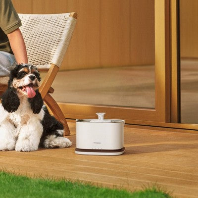 Petlibro 3L Dockstream 2 Cordless Cat Automated Fountain - White
